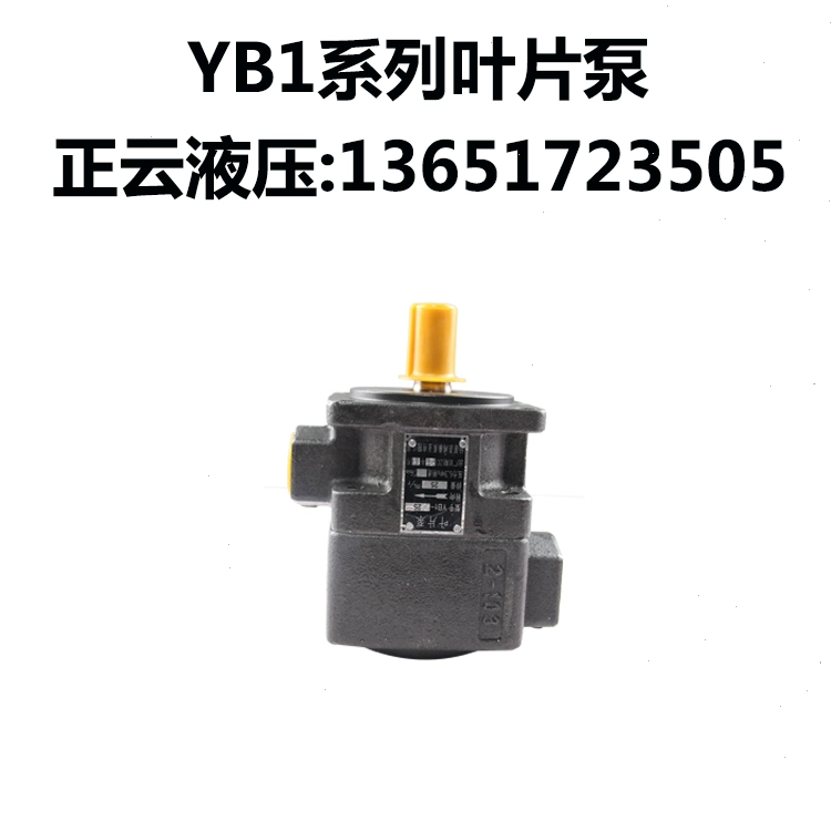 Bơm cánh gạt định lượng YB1-32, YB1-40, YB1-50 bơm thủy lực xe cuốc bộ bơm dầu thủy lực