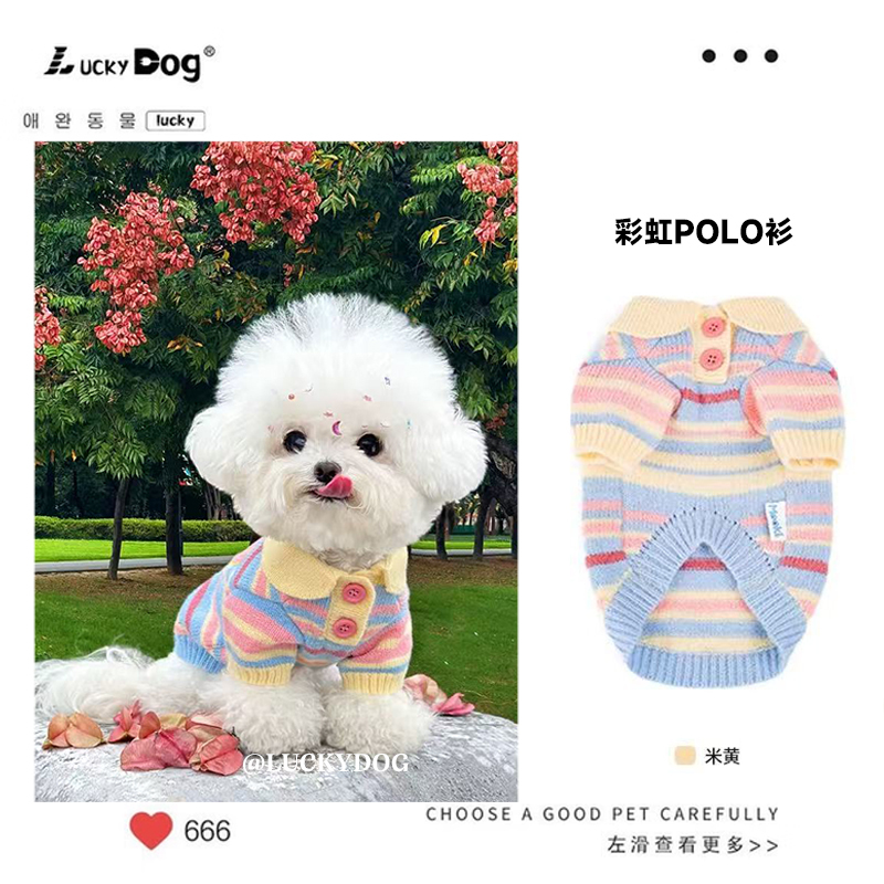 Ins Korean Dog Clothes Autumn and Winter New Style Teddy Bichon Small Dog Warm Rainbow Knitted Polo Shirt Sweater