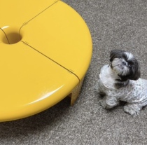 DPsTUdio Acrylic Composition Tea Table Cartoon Spliced Shelve Children Plastic Medieval Round Table