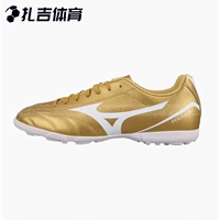Cooldongcheng подлинный P1GD249406