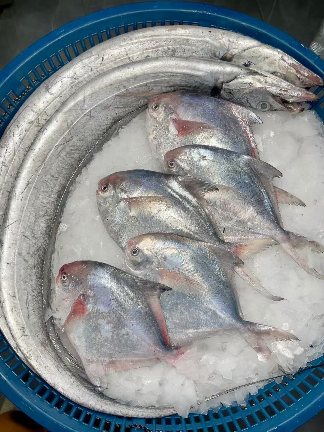 舟山小王海鲜码头直发