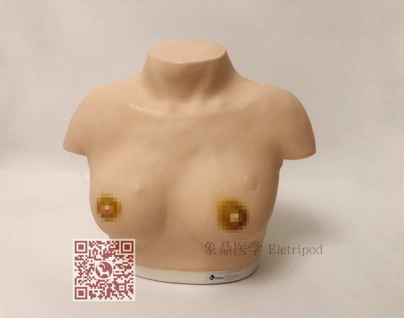 Eletripod 象鼎医学 高级乳腺视诊与触诊模型 ET/F7B