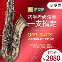 SEROLLAN Saint Laurent Nhạc cụ B-phẳng Alto Saxophone ống màu xanh lá cây đôi bằng đồng Đảm bảo xác thực - Nhạc cụ phương Tây trống đoàn đội