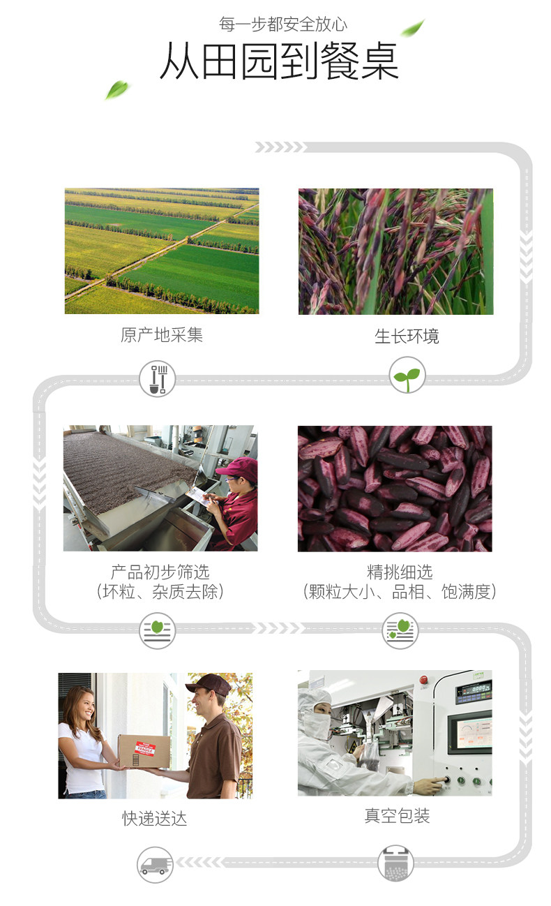 [紫米_04.jpg]