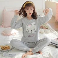 A889 Beard Cat Grey