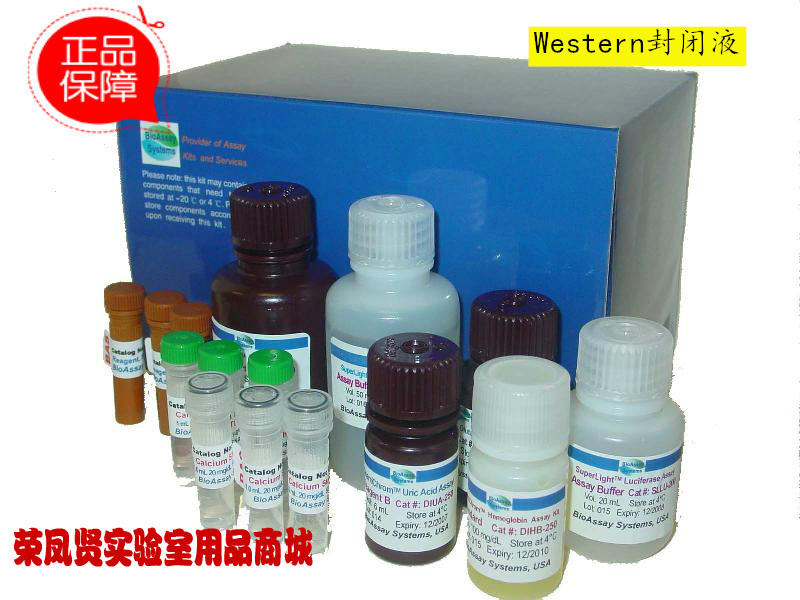Western封闭液 100ml