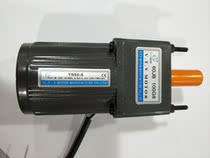 YN60-6 60JB100G8 6W constant speed motor 10W constant speed motor