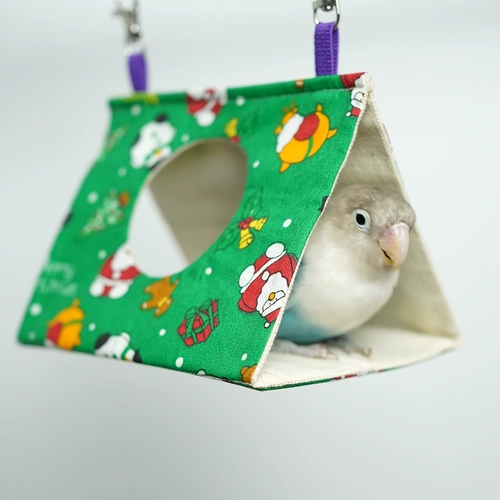 Птичье гнездо птичьего гнездо