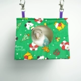 Птичье гнездо птичьего гнездо