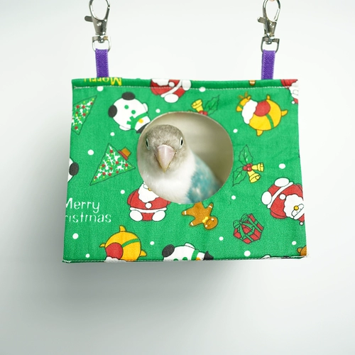 Птичье гнездо птичьего гнездо