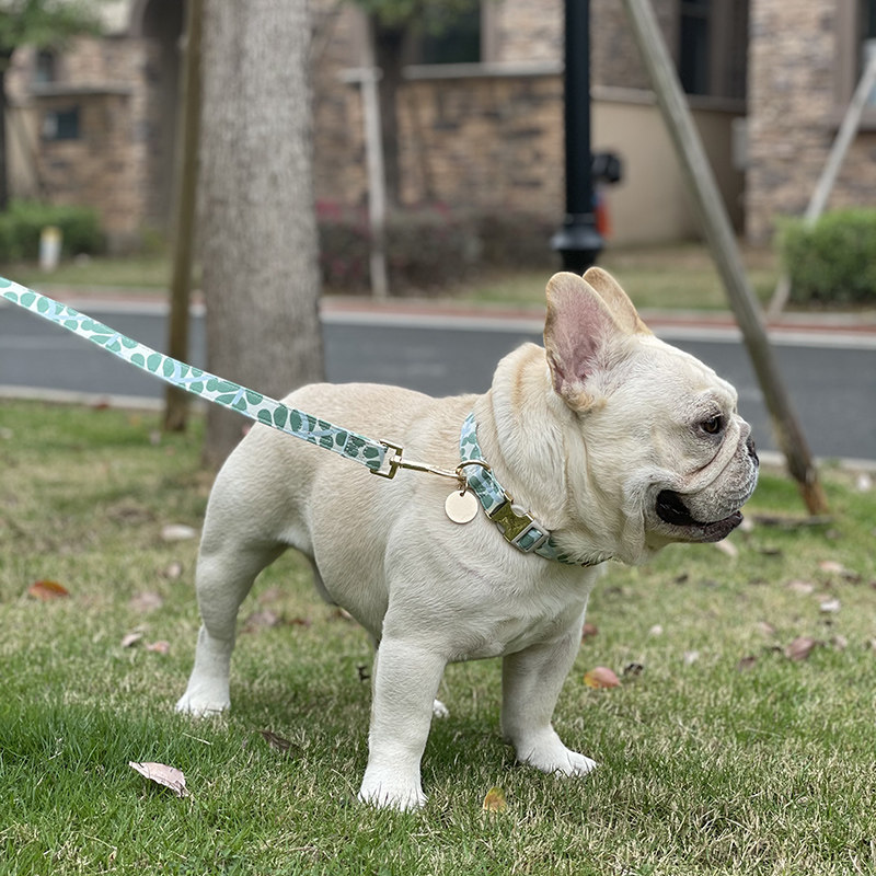 Explosion-proof rushing fairy dog ​​leash special for small dog fat can be adjusted to go out in a full set of comfortable French fighting teddy