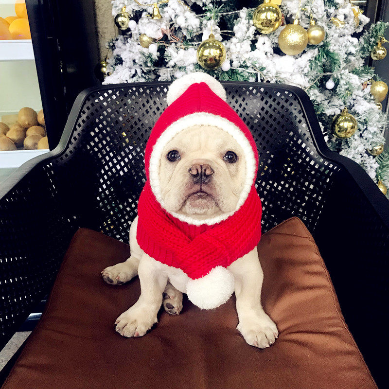 Pets Christmas hat Fhopper bagbrother Bear Matchup Dog Warm Hat Teddy Gold Wool Big Dog Red New Year Hat Cute