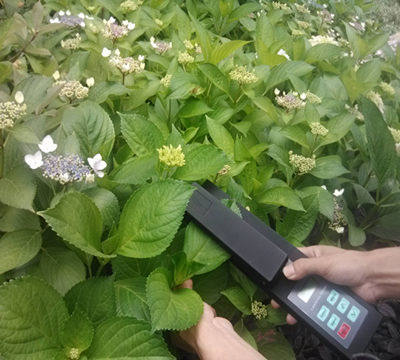 General Agent of the LAM-G living leaf area measuring instrument