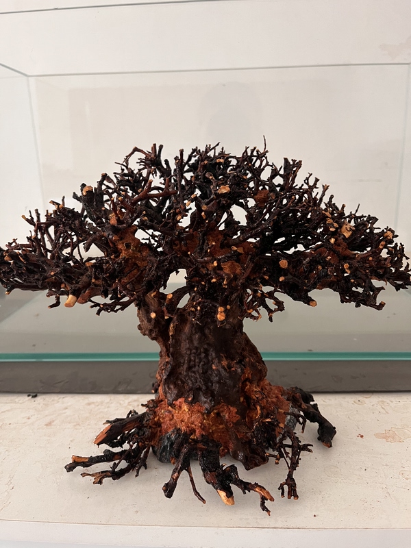 Aquarium Landscaping Tree, Moss Tree, Tree of Life, Brazilian Tree, Driftwood Tree, Tree of Souls, Landscaping Skeleton Tree, Water Banyan Tree