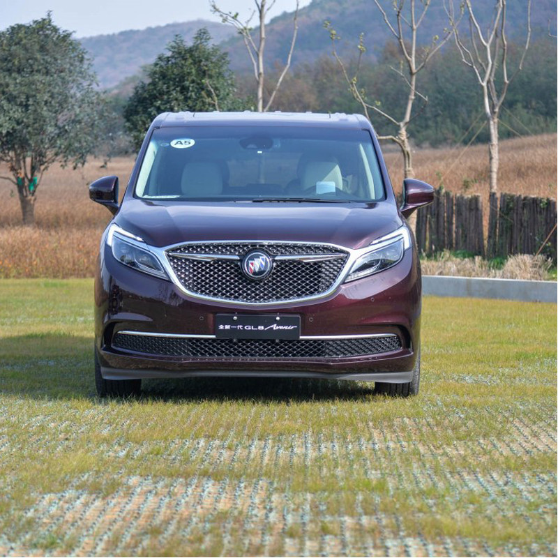 Решетка радиатора средняя нижняя для Buick GL8 ES 28T Avenir