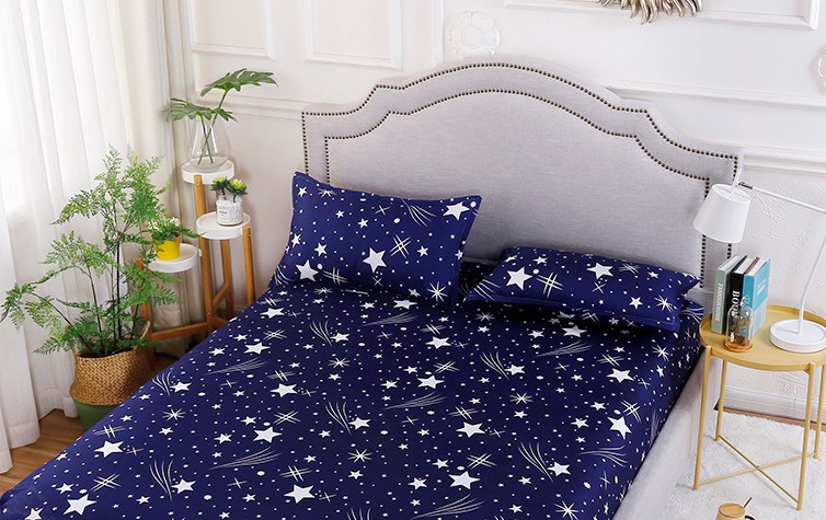 Vỏ gối Một cặp bốn mùa chà nhám cho học sinh trưởng thành một chiếc gối 48 74cm một đôi gối chống trào ngược babieskey