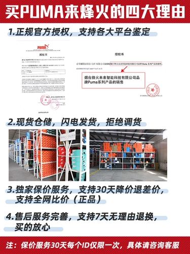 Beacon Puma Загрязняет кот Большой логотип Мужчины и женские низкие повседневные кроссовки 380865-01