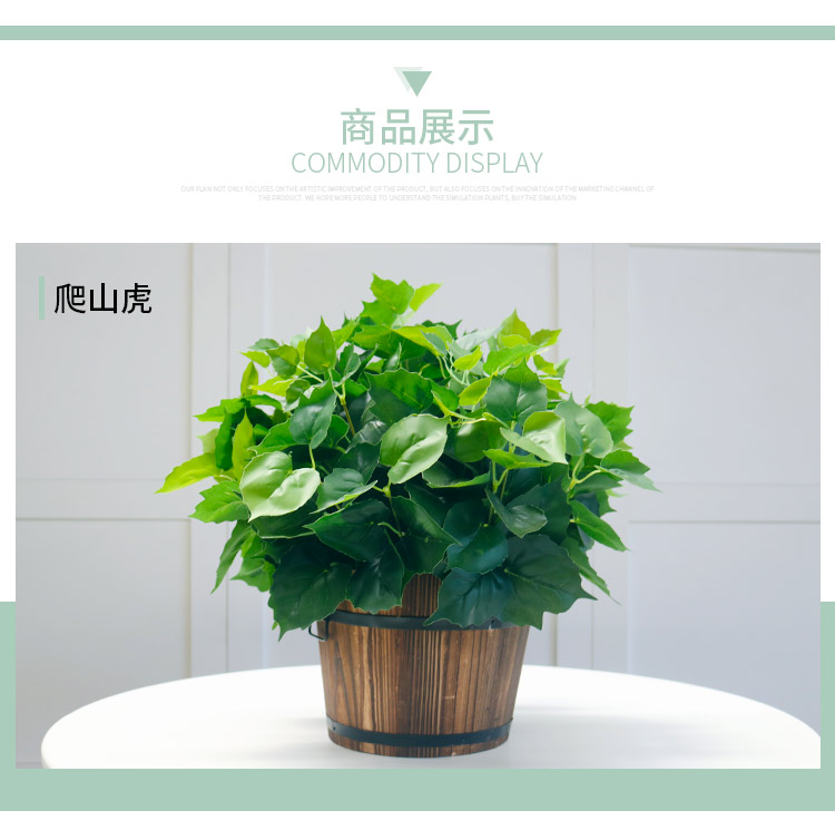 Mô phỏng cây xanh giả củ cải xanh thường xanh mô phỏng hoa và cây trang trí nội thất thùng chậu hoa nhựa và cây trang trí - Hoa nhân tạo / Cây / Trái cây hoa mộc lan giả
