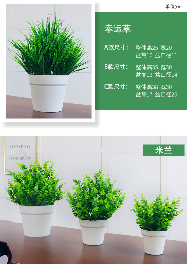 Mô phỏng cây nhựa hoa và cây trang trí chậu phòng khách nhà trang trí đồ trang trí giả Ba Tư Milan cây xanh - Hoa nhân tạo / Cây / Trái cây hoa lan giả cao cấp