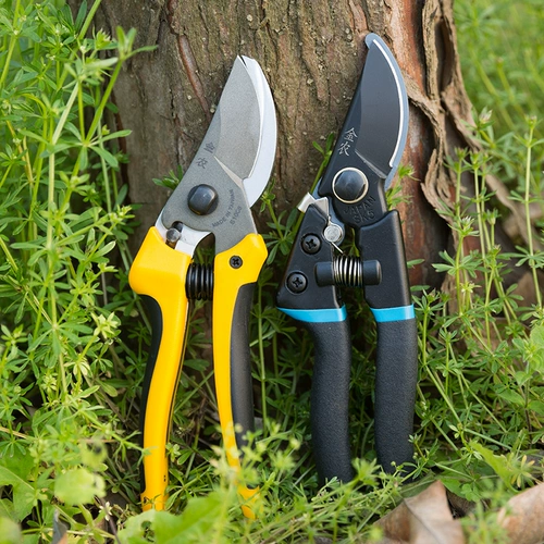 Частые цветочные похудения, ножницы для садового инструмента, ножницы фруктовых деревьев, сдвиг, ветви, грубые ветви садоводства и разрезание деревьев