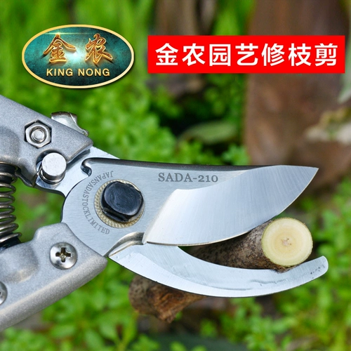 Частые цветочные похудения, ножницы для садового инструмента, ножницы фруктовых деревьев, сдвиг, ветви, грубые ветви садоводства и разрезание деревьев
