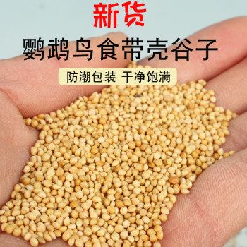 Yellow millet budgie feed bird food millet black phoenix peony food Civilian bird shelled millet oriole bird food