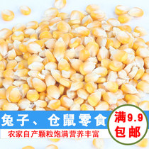 Corn kernels cabbage heart stone room went to the stairs