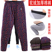 Big Ben camel wool cotton pants womens high elastic warm pants three-layer thickened thermal pants mother high waist outer wear plus fat plus size winter