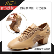 Betty dance shoes AM-3 couples Latin teacher dance shoes coach shoes soft sole two-point sole dance shoes for women and men