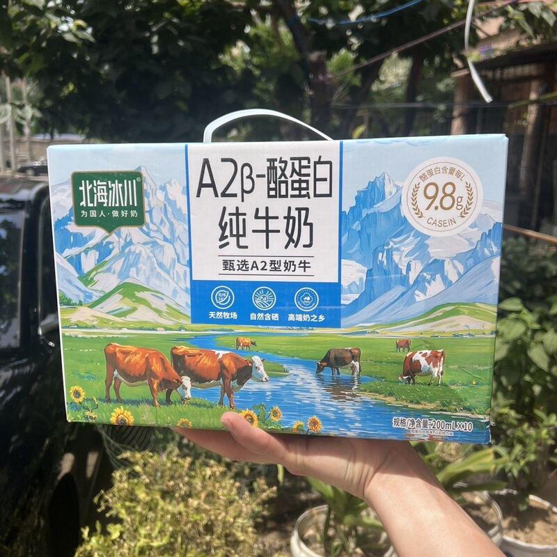 New Date North Sea Glacier Pure Milk Ranch Plateau Milk Nutritional Breakfast A2Β-Casein Pure Milk New Date North Sea Glacier Pure Milk Ranch Plateau Milk Nutritional Breakfast A2Β-Casein Pure Milk