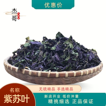 Perilla leaf Chinese medicinal material Guangxi perilla leaf powder to remove fishy fish shrimp and crab spice perilla leaf red su 500g