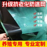 Лигук размножение сетевой анти -уклонной к сети Bullfrog, лягушка крабовая черепаха пруд -пруд