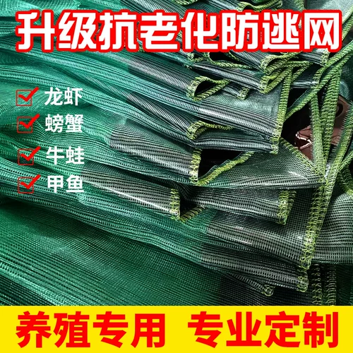 Лигук размножение сетевой анти -уклонной к сети Bullfrog, лягушка крабовая черепаха пруд -пруд