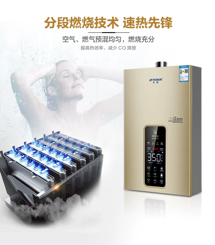 Bán cầu thay đổi tần số nhiệt độ không đổi nhiệt độ máy nước nóng nhà khí tự nhiên loại mạnh xả khí hóa lỏng 12 lít 16L l tắm - Máy đun nước