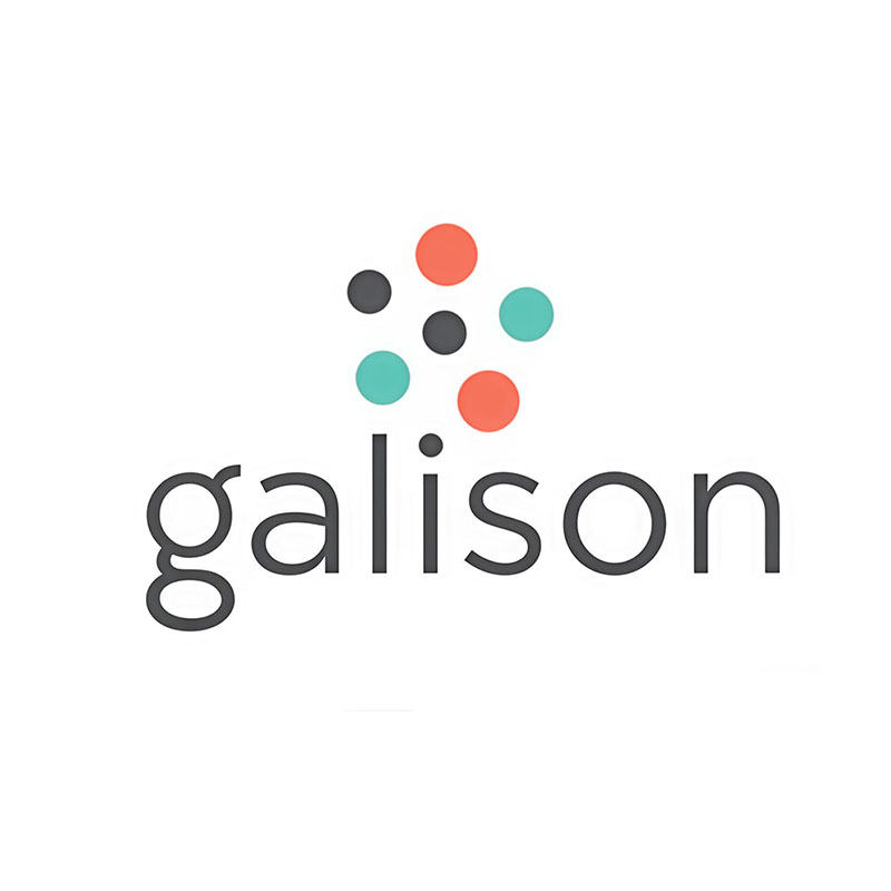 galison冬灯的LOGO