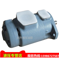 Tokyo meter SQP43-60-30-86DD2-18 injection molding machine mother blade pump liquid pump oil pump parts