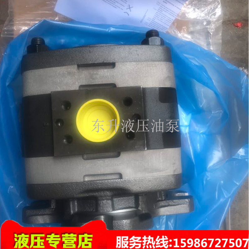 German voith gear IPV7 IPV7 IPVP7 IPVS7-160-111 Foyt servo pump dosing oil pump