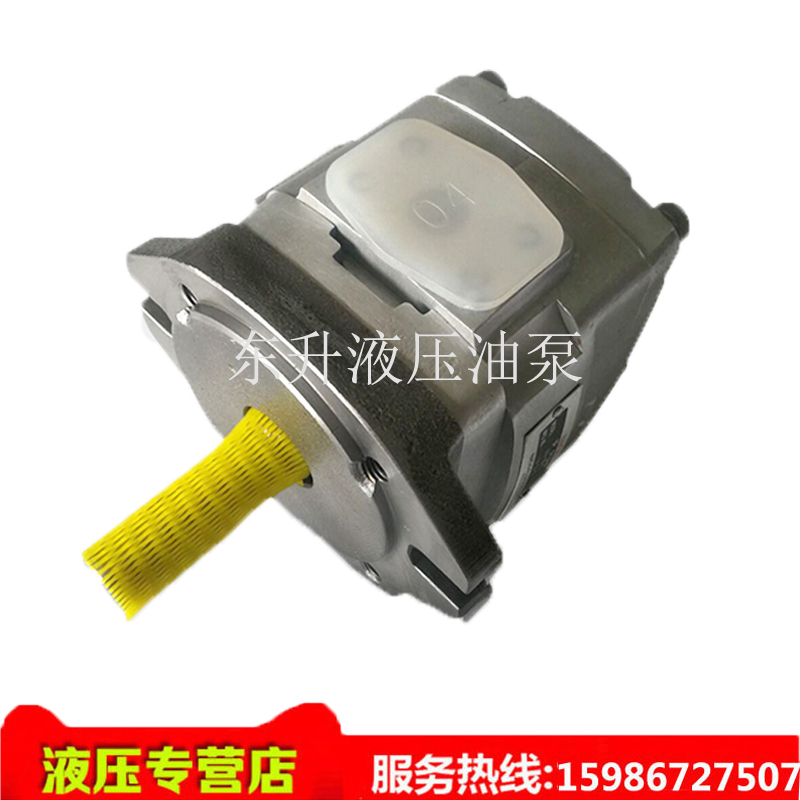 No-two-Vietnam NACHI gear IPH-3B IPH-3B 4B 4B 5B 6B-10-11 20 dosing pump high-pressure oil pump import