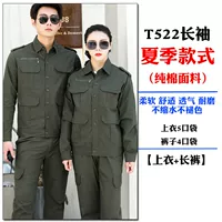 Летний лонгслив, штаны, ремень