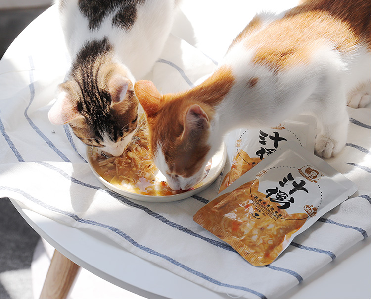 Cat Daddy Juice Pour Thực phẩm dinh dưỡng Fatten Bột Thực phẩm ướt Thịt bò Hương vị tươi Đóng hộp Mèo Snacks 10 Gói Túi Hạt Cateye cho mèo có tốt không