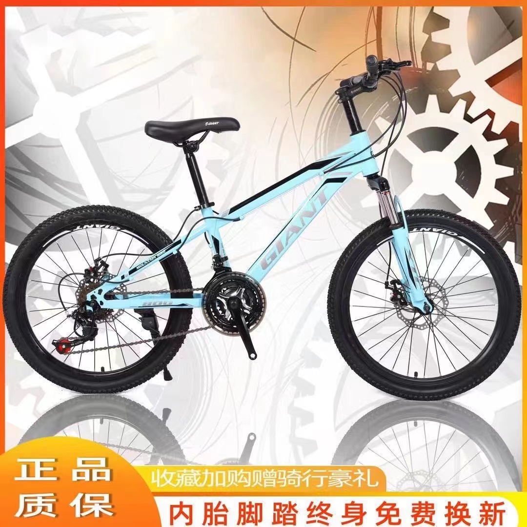 ジャイアント子供用マウンテンバイク XTC800 大型子供用 6～15歳 ユース 20インチ 22インチ