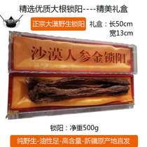 Xinjiang wild Jinsuoyang 2022 whole root 500g nourishing mens Chinese medicinal materials bubble wine tea water gift box