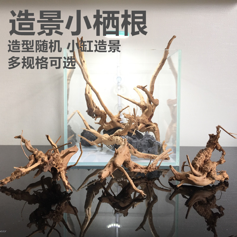 Azadou roots root view avoiding aquarium cylinder wood in the wood of fish aquarium