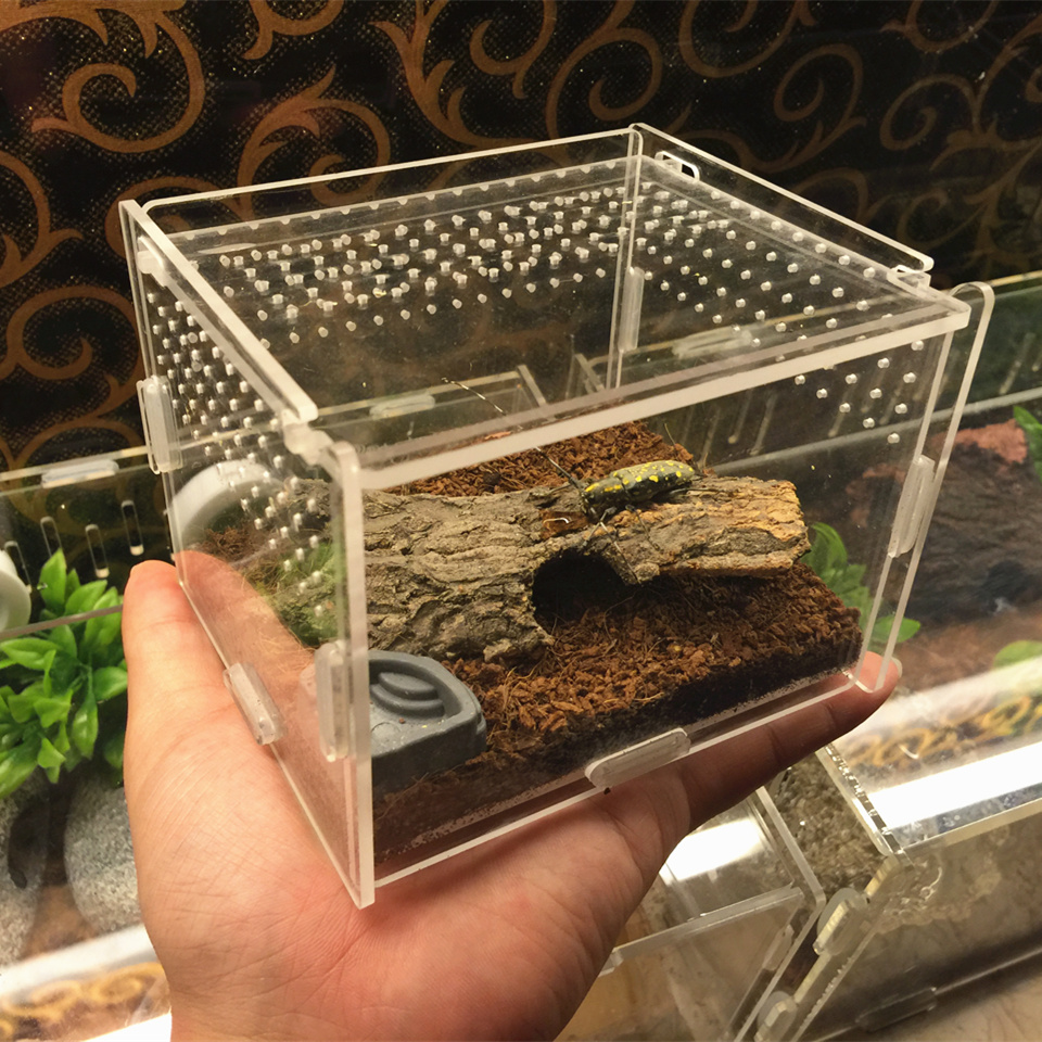 Small number of climbing spotting rearing box acrylic reptile Reptile box Spider Lizard Lizard rearing box reptile for raising climbing and spotting box