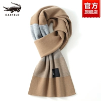 W04-камельный цвет