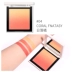 Feiluer gradient blush đích thực trang điểm nữ nude giữ ẩm tự nhiên làm sáng da hỗn hợp màu đỏ cam đỏ tấm lưới đỏ - Blush / Cochineal Blush / Cochineal