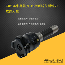 R8 Indexable Face Milling Cutter Bull Nose Milling disc 50 63 80100 Numerical control knife disc fit R4R5R6