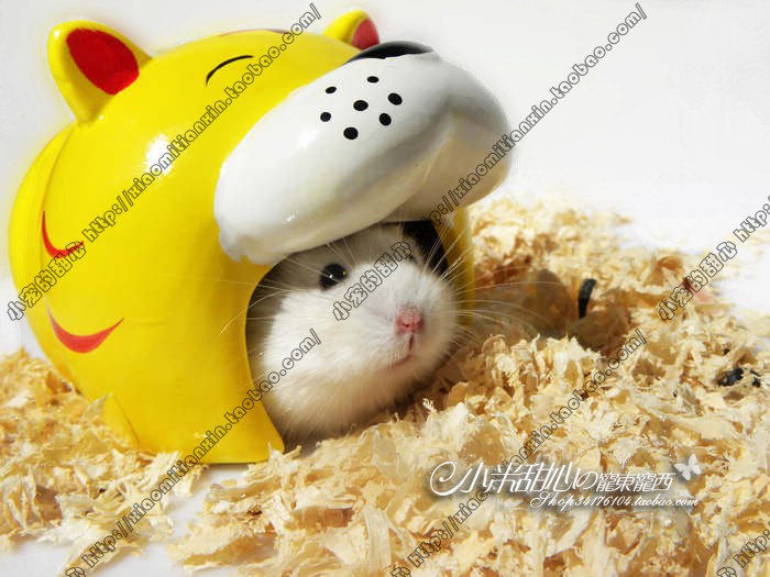 Cool incoming hamster ceramic hut Cool down nest Cute practical cooling enjoy summer cool