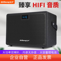 Chic Square Dance Sound Big Volume K Song Singing Performance Special Portable Bluetooth Outdoor Speaker High Power