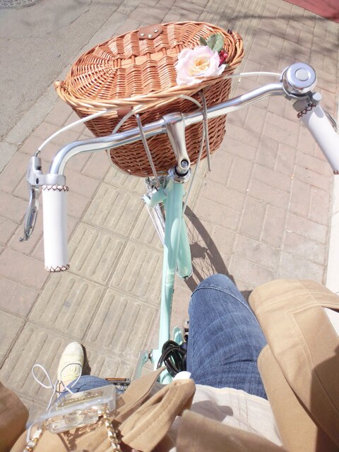 Panier pour vélo en vigne - Ref 2257244 Image 61